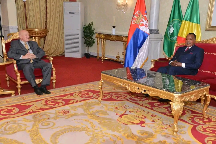 Congo Brazzaville : Denis Sassou-N’Guesso reçoit les lettres de créance des nouveaux ambassadeurs de l’Inde, la Serbie, Suisse et de la RDC